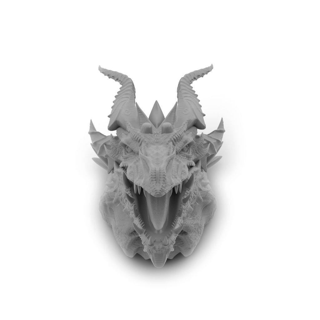 Inslogic 3D Model Dragon Bust